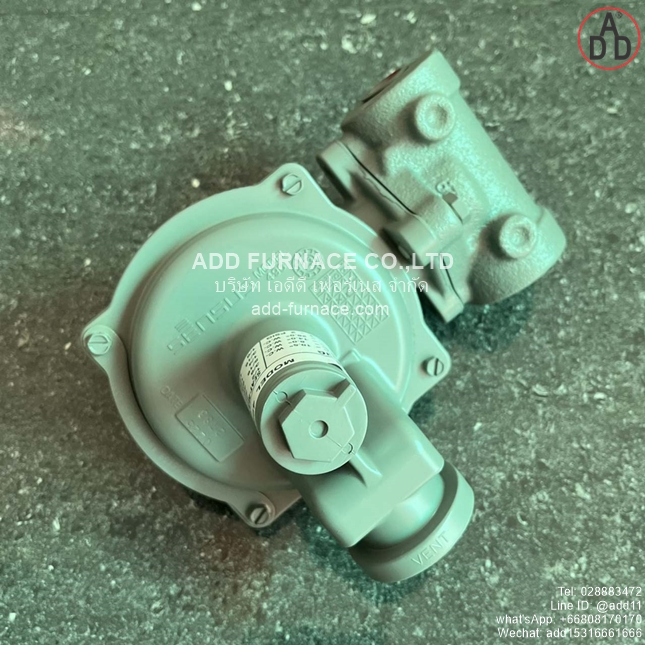 Sensus 496-20 Regulator (6)